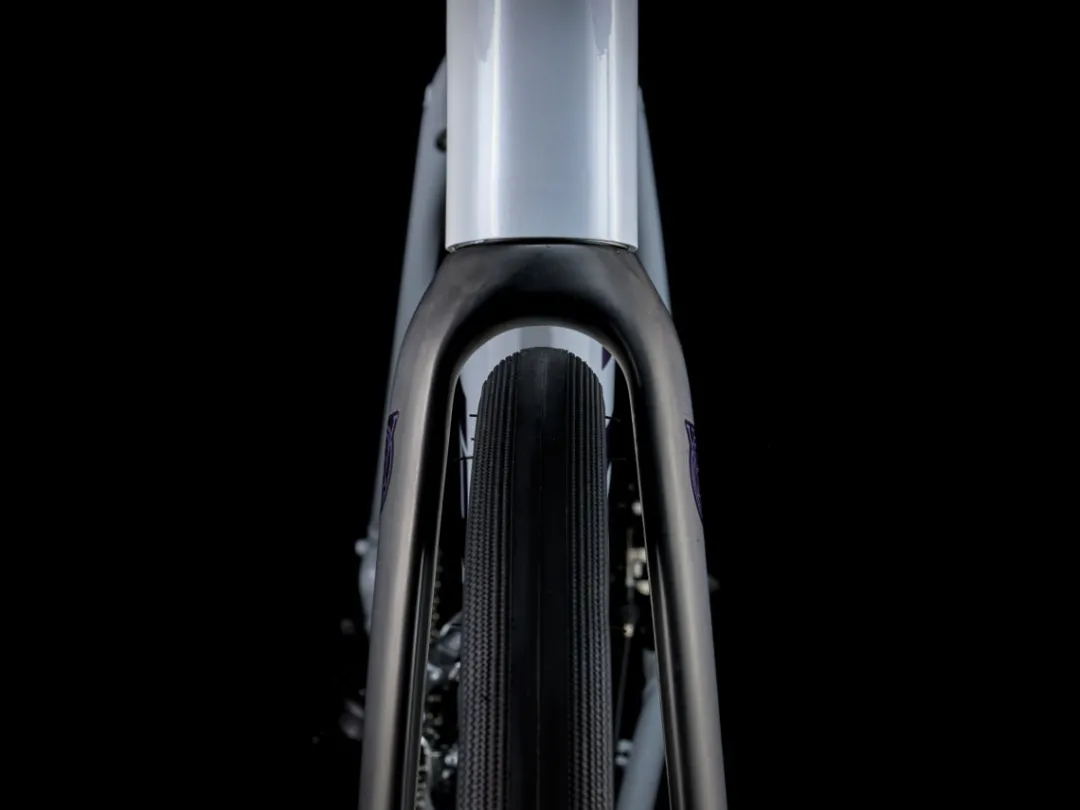 Domane AL 2 Gen 4