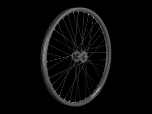 Electra Townie Go! 35mm Wide Rim 7D 26" Wheel