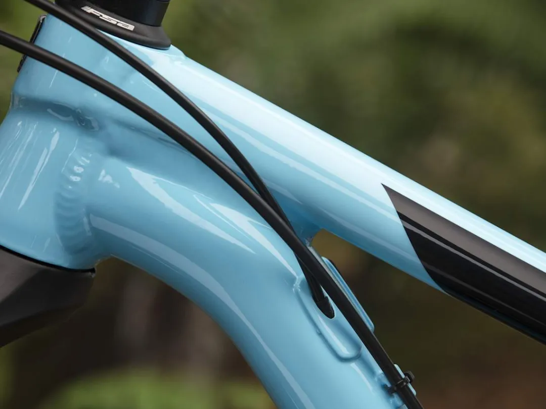 Procaliber 6