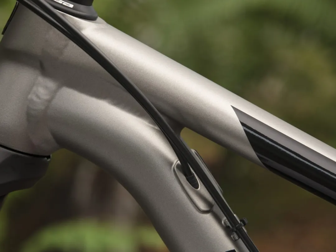 Procaliber 6