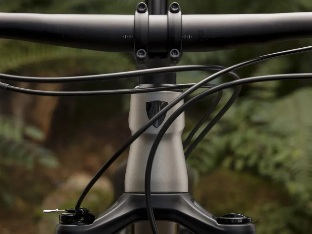 Procaliber 6