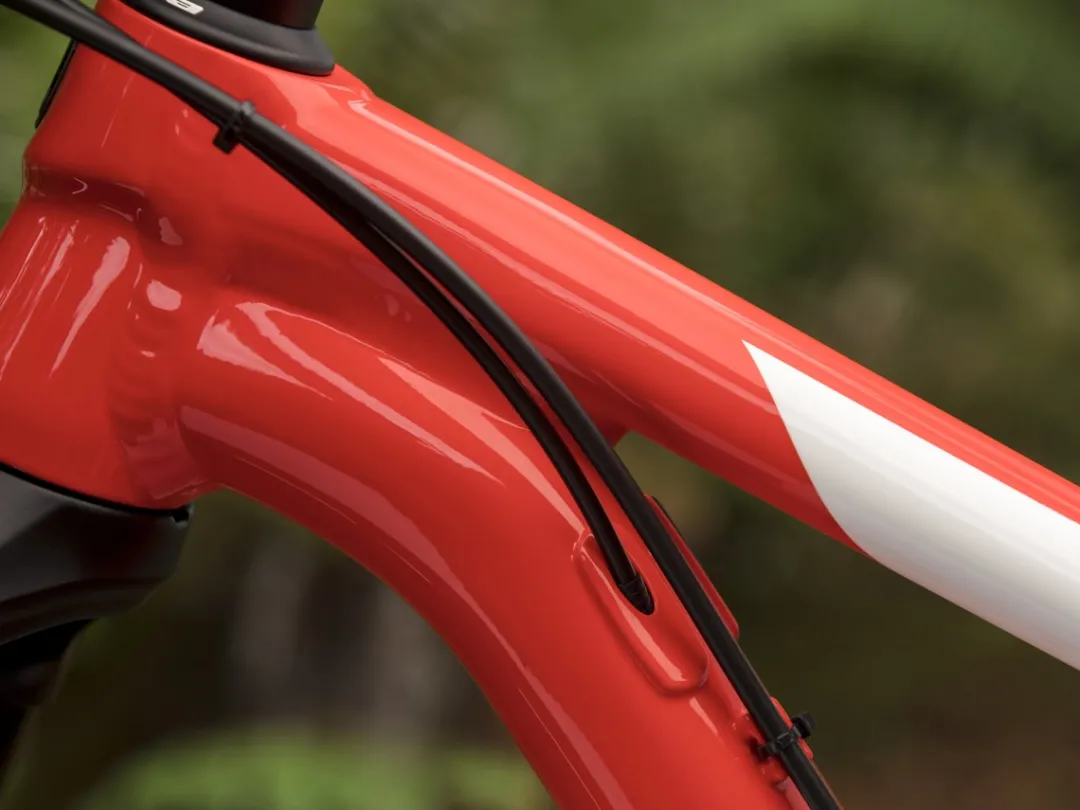 Procaliber 6
